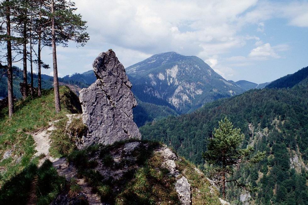 Kalkalpen Nemzeti Park