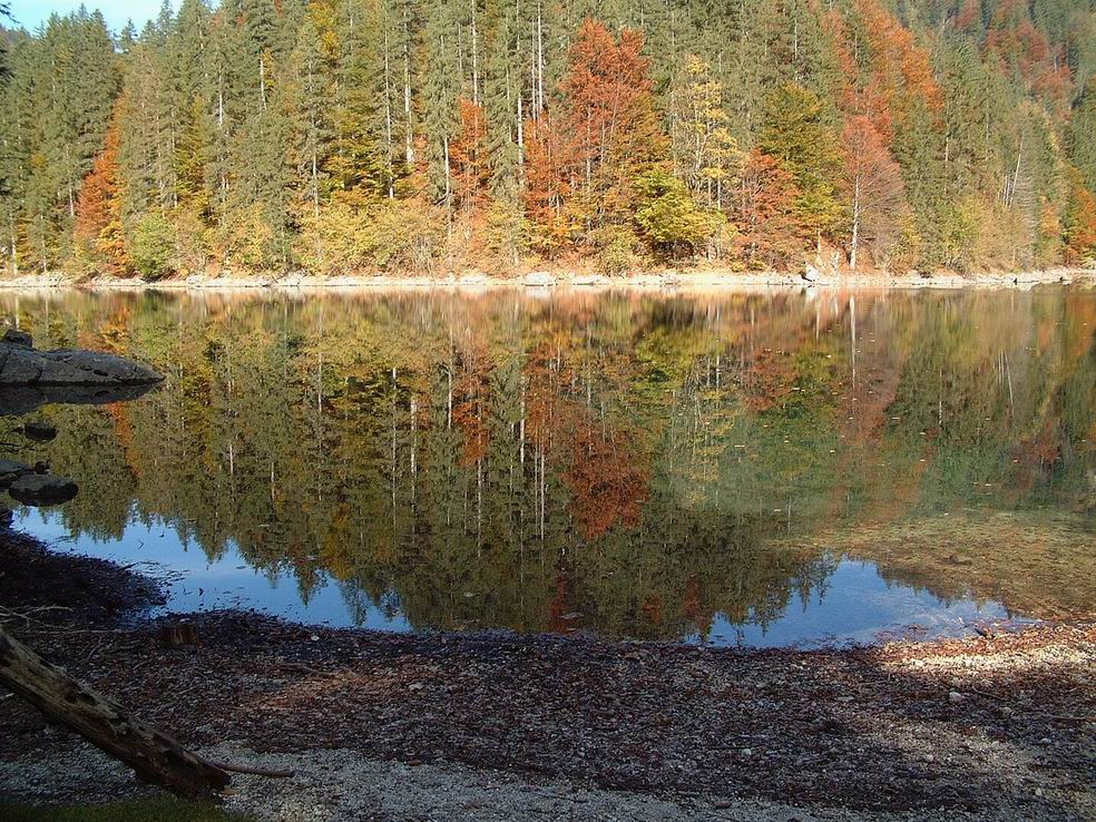 ödsee